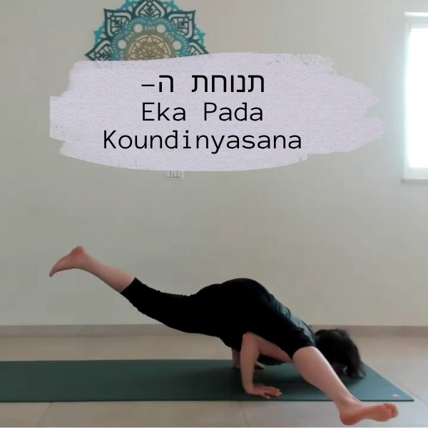 תנוחת ה Eka Pada Koundinyasana